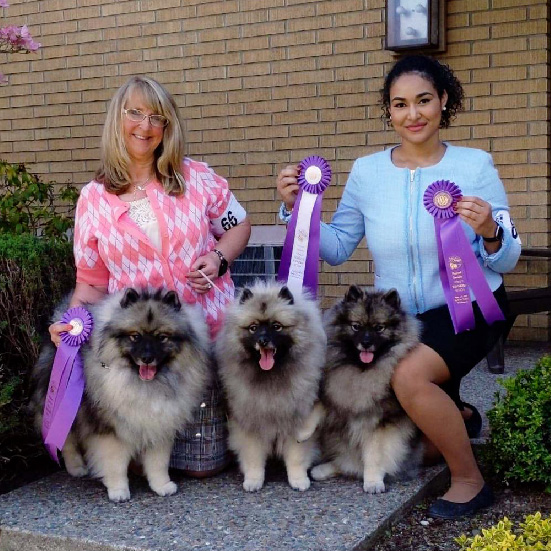 Trumpet Show Dogs Win Big at 2019 Keeshond National!