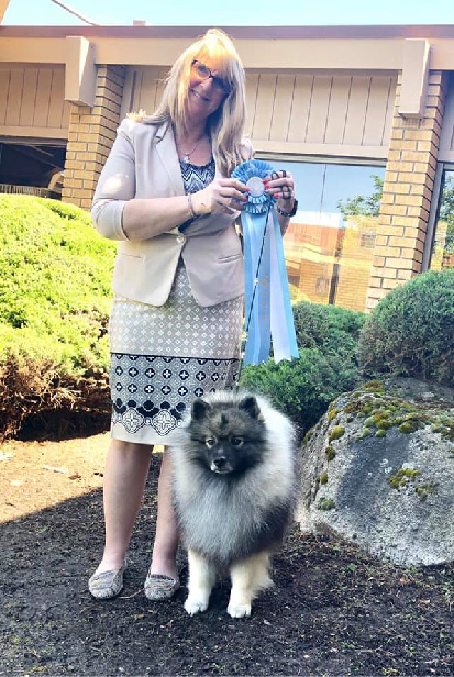 PCKC Regional Show Results- 2019 Keeshond National