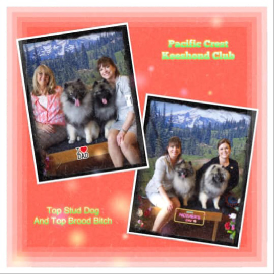 Trumpet and Traleigh Keeshond Did Well at 2019 National!